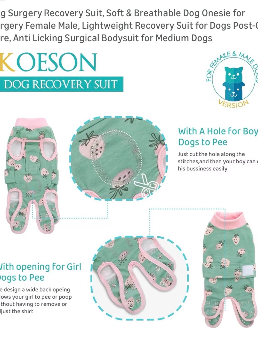 KOESON Mint Green Strawberry Dog Recovery Suit with Pink Trim